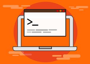 星空体育官网入口-青少年比赛引入技术监测系统保障公平，2020年青少年比赛