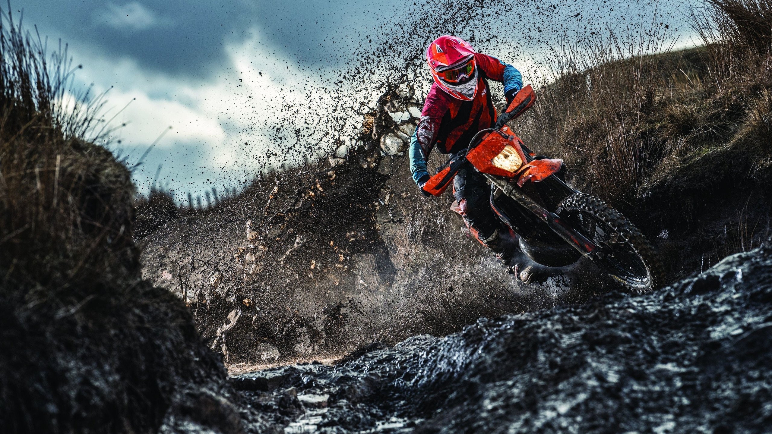 威尔士青训体制逐步成熟,助力男子、女子队伍发展,威尔士晋级